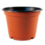 Plastic flower pot isolated on a white background